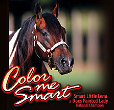 color me smart
