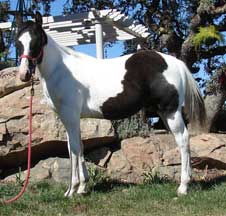 double homozygous