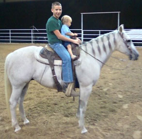 aqha gelding for sale