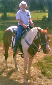 2007 Sorrel Tobiano Mare for sale