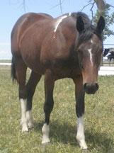 astride