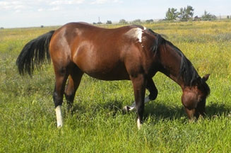 astride