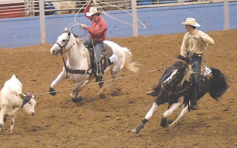 gray tobiano